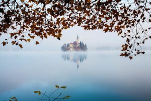 Autumn mist over Lake Bled and the famous island church, framed by trees, Slovenia