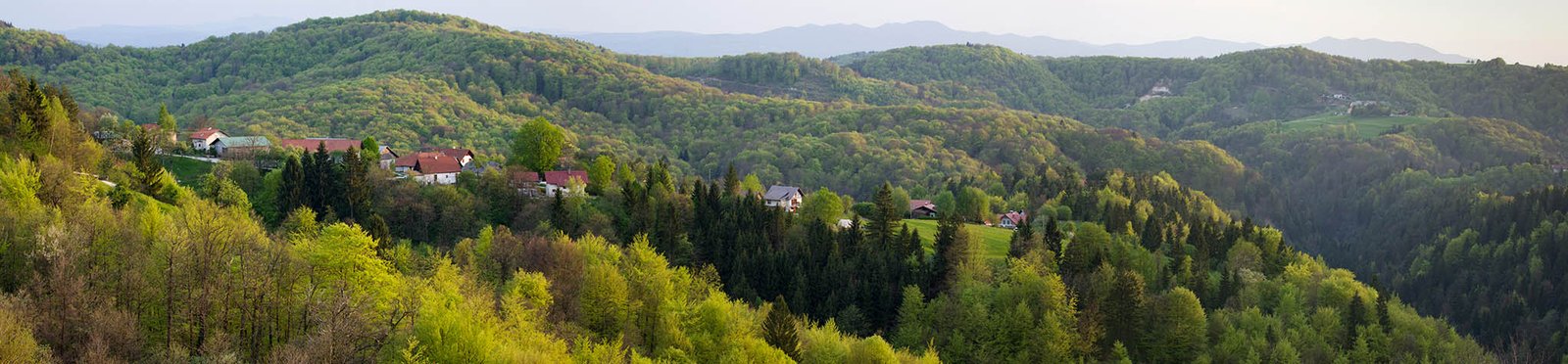 Spring near Volavlje and the Prezganje hills to the east of Ljubljana, Slovenia.