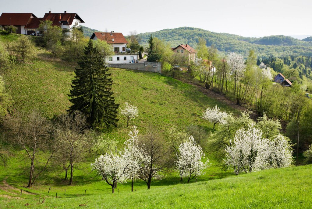 Trees blossoming in spring near Volavlje in the hills to the east of Ljubljana, Slovenia.